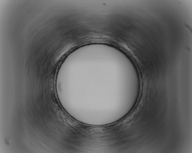 X0000103461211200809121050