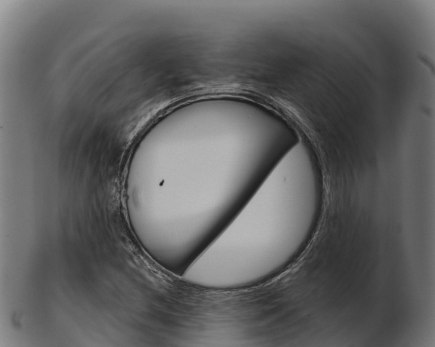 X0000103461212200809121050