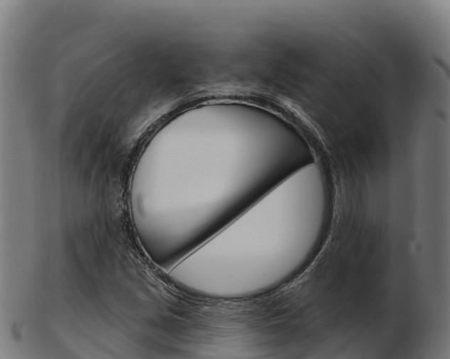 X0000103461213200809121050
