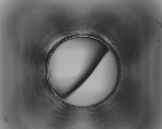 X0000103461214200809121050