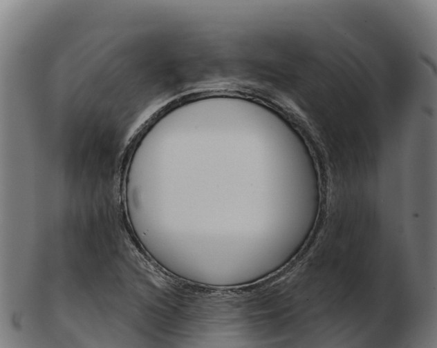 X0000103461216200809121050