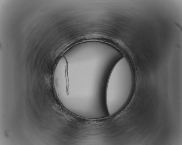 X0000103461217200809121050