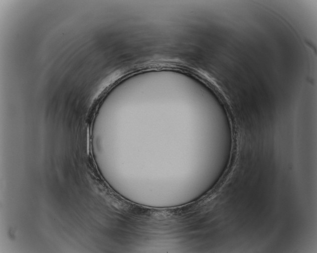 X0000103461219200809121050