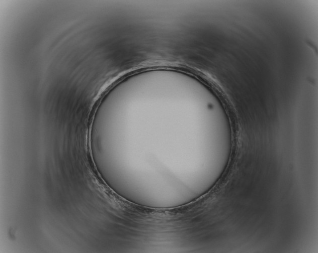 X0000103461220200809121050