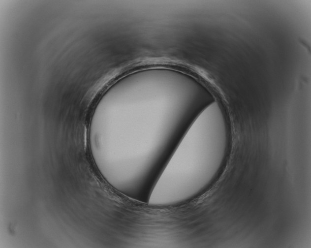 X0000103461221200809121050