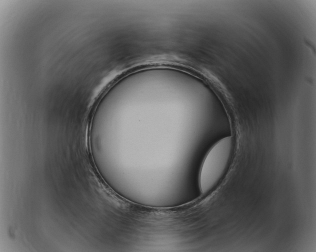 X0000103461224200809121050
