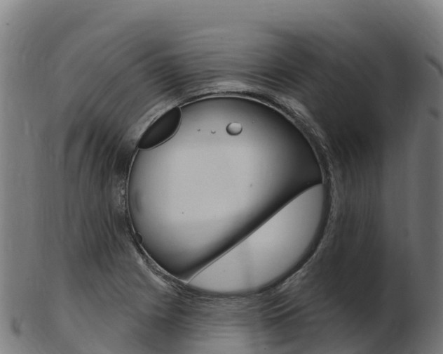 X0000103461225200809121050