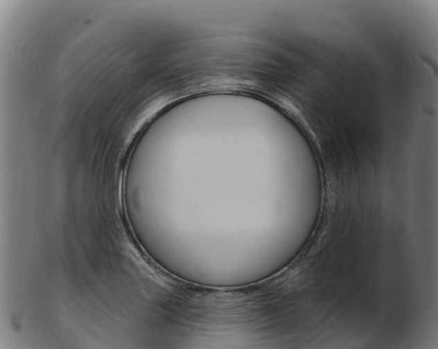 X0000103461227200809121050