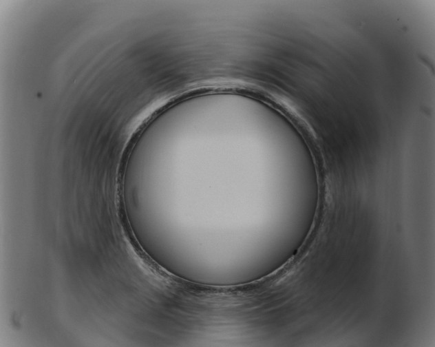 X0000103461229200809121050