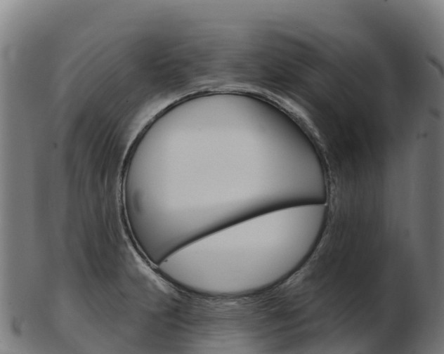 X0000103461231200809121050