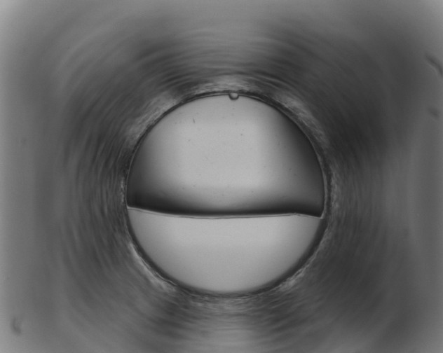 X0000103461233200809121050