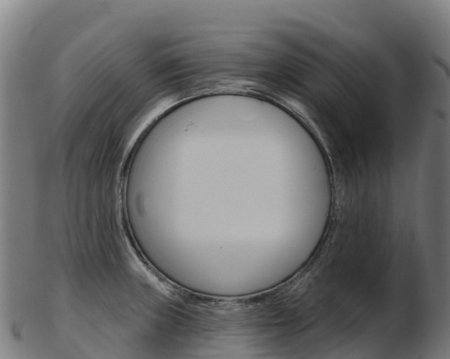 X0000103461235200809121050