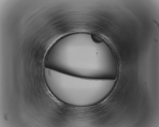 X0000103461236200809121050