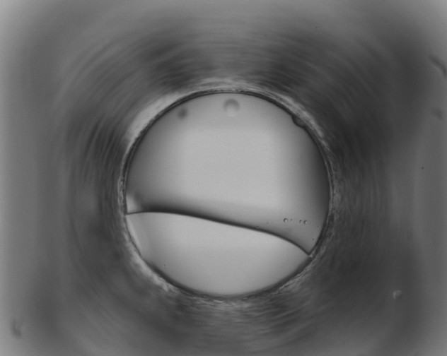X0000103461239200809121050