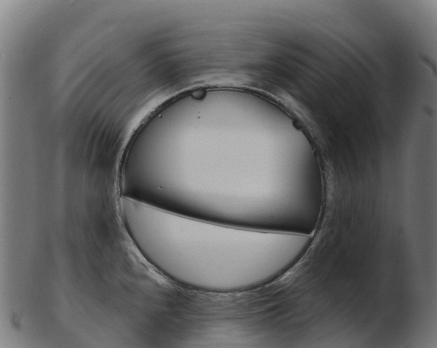 X0000103461240200809121050