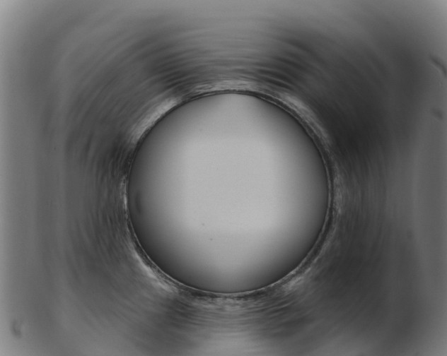 X0000103461241200809121050