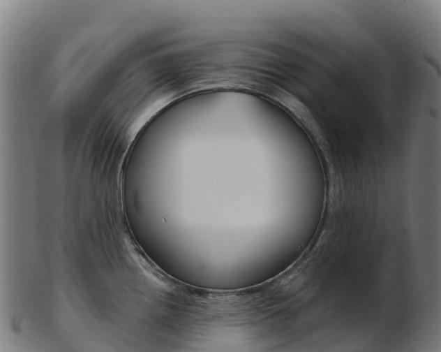 X0000103461242200809121050