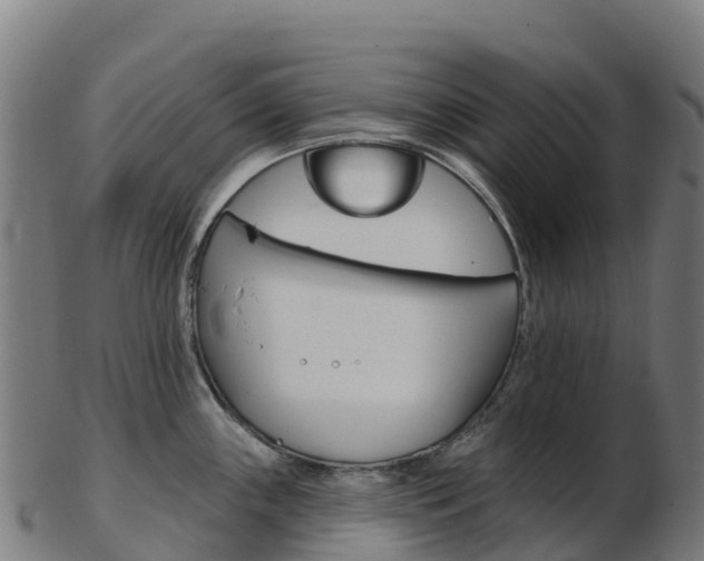 X0000103461243200809121050
