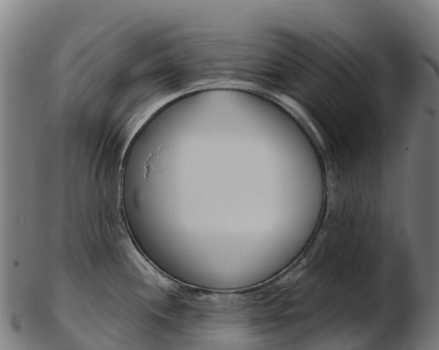 X0000103461244200809121050