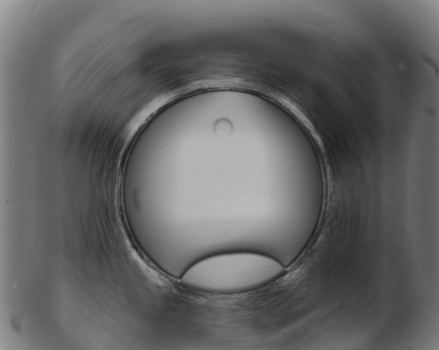 X0000103461245200809121050