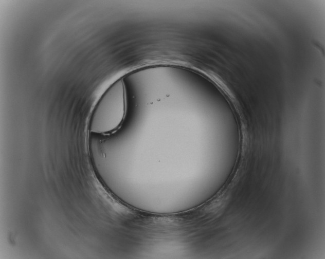 X0000103461246200809121050