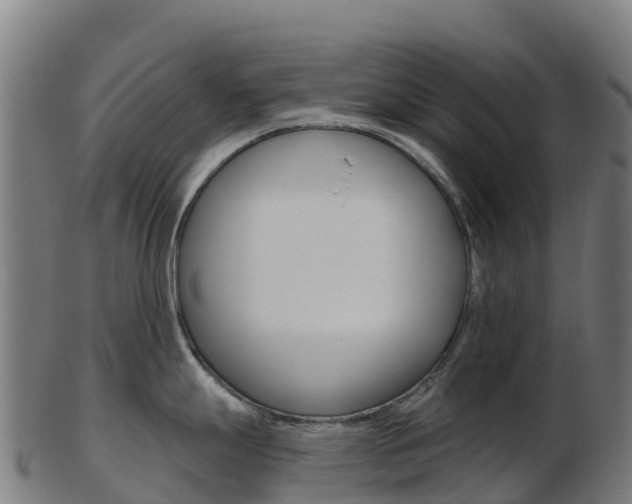 X0000103461247200809121050
