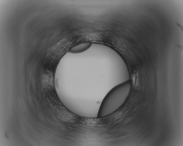 X0000103461251200809121050