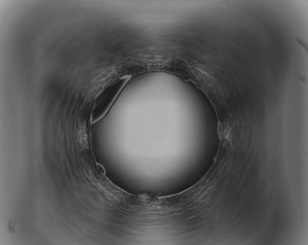 X0000103461252200809121050