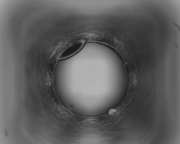 X0000103461253200809121050