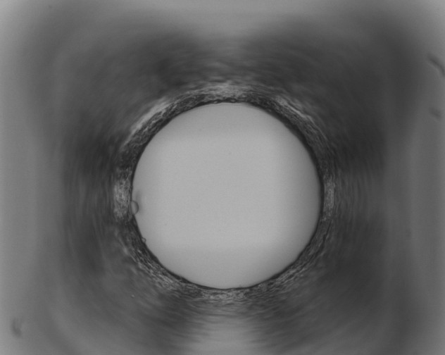 X0000103461254200809121050