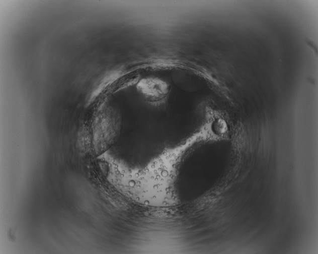 X0000103461255200809121050