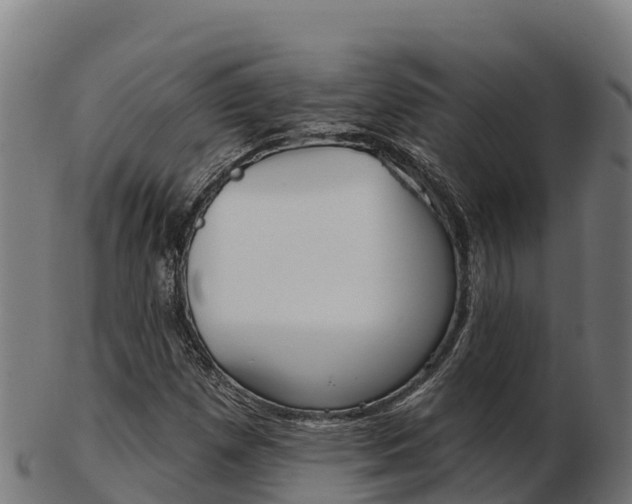 X0000103461257200809121050