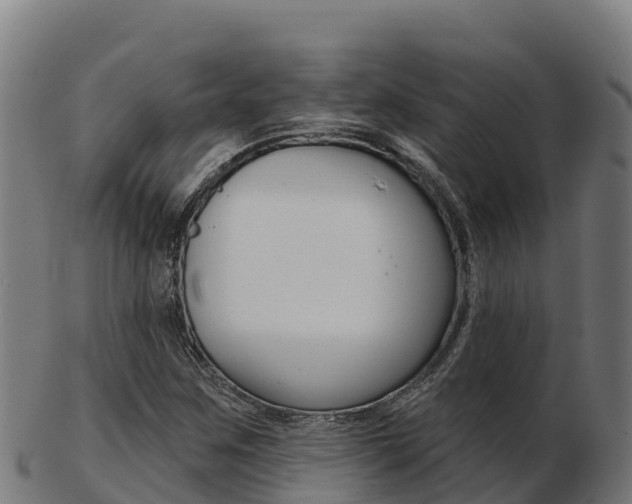 X0000103461259200809121050