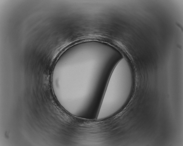 X0000103461260200809121050