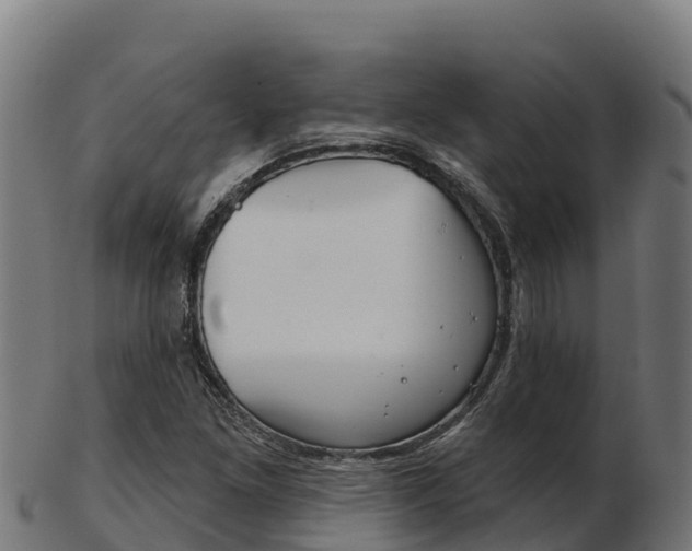 X0000103461261200809121050