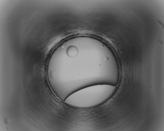X0000103461263200809121049