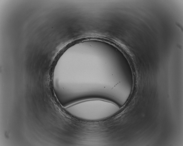 X0000103461264200809121049
