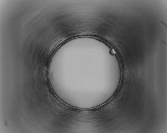 X0000103461265200809121049