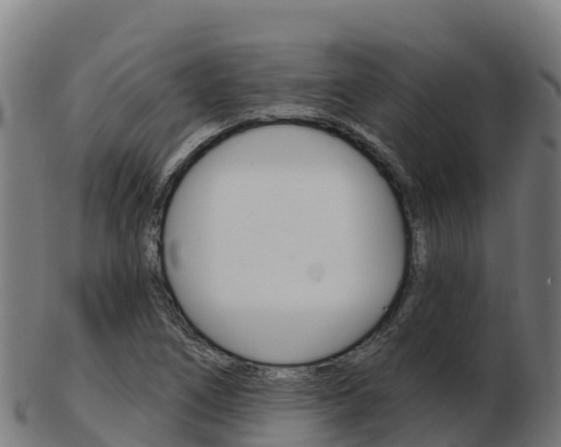 X0000103461266200809121049