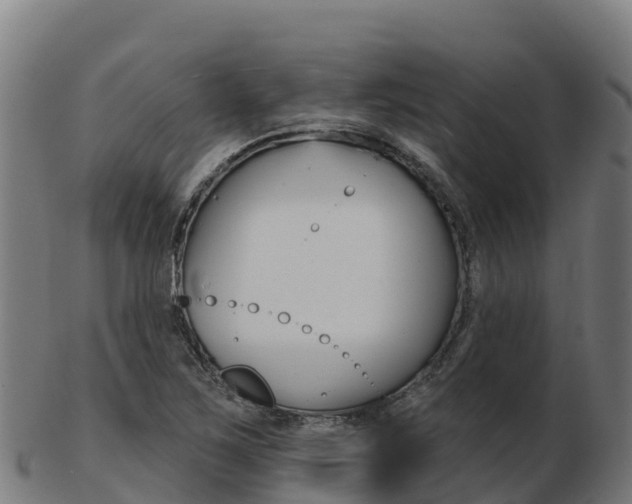 X0000103461267200809121049