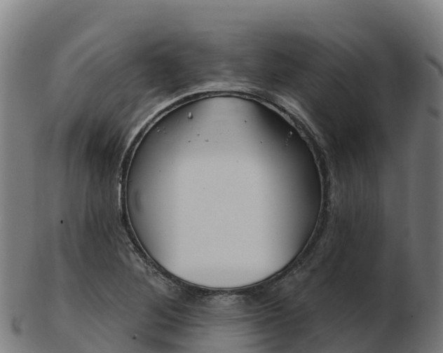X0000103461268200809121049