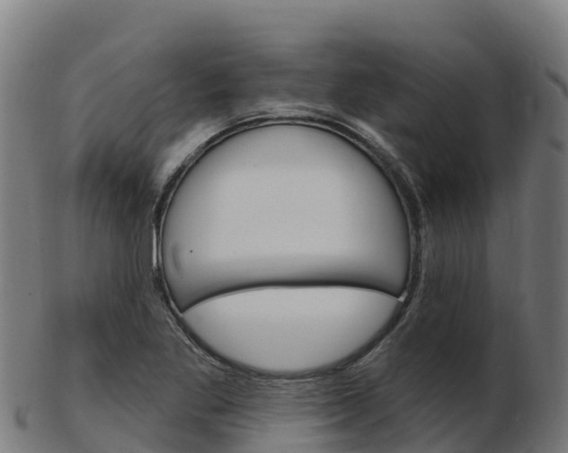 X0000103461269200809121049