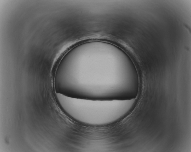 X0000103461270200809121049