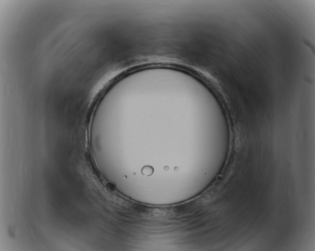 X0000103461271200809121049