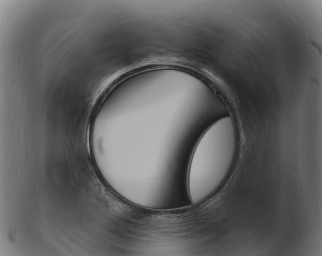 X0000103461272200809121049