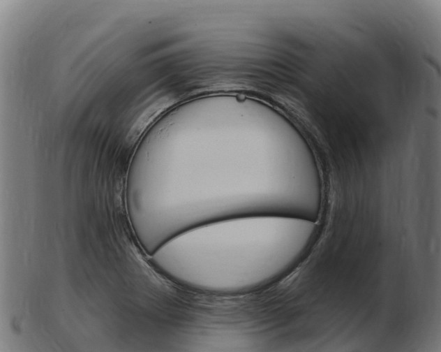 X0000103461273200809121049