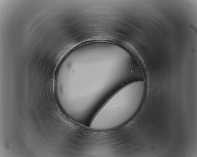 X0000103461276200809121049