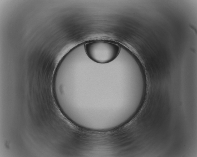 X0000103461277200809121049
