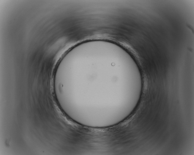 X0000103461278200809121049