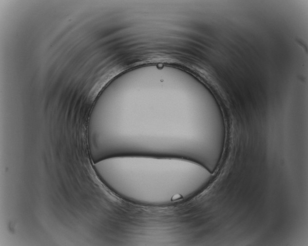 X0000103461281200809121049